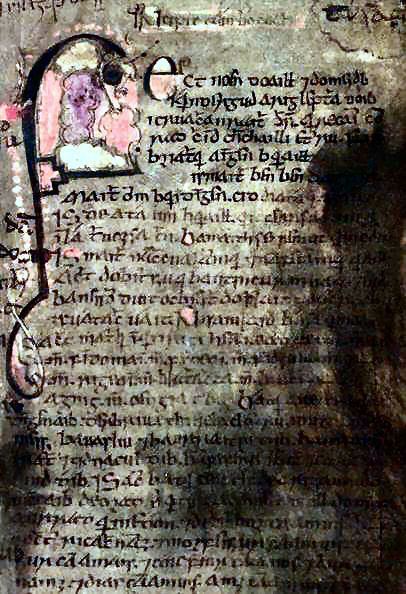 Book of Leinster