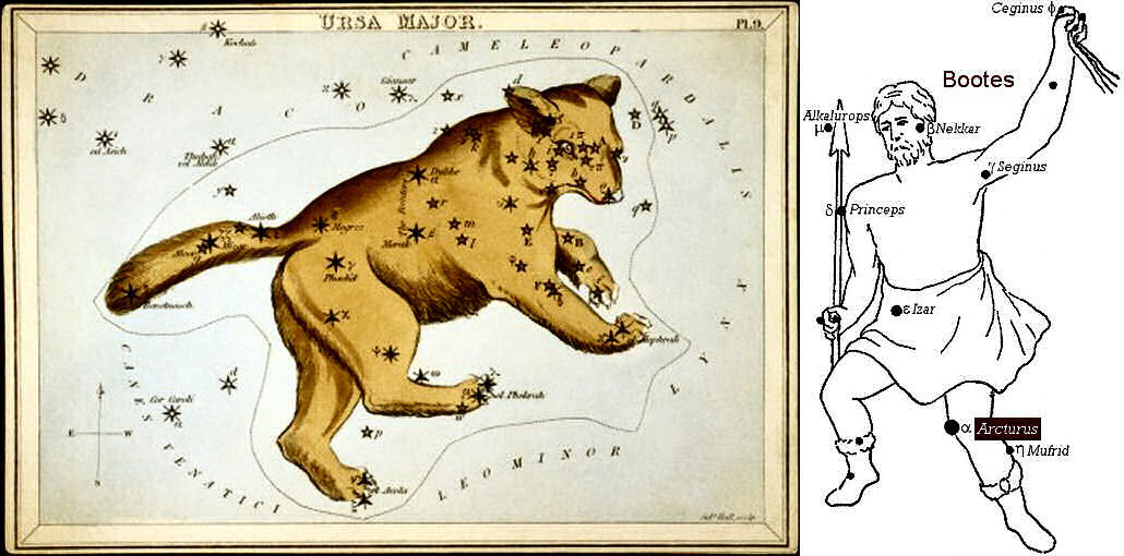 Ursa Major, The Bear and Arcturus