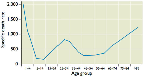 Most Afflicted Age Range​